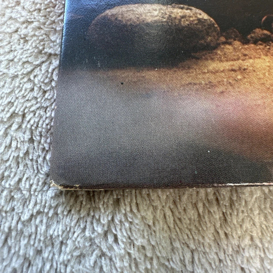 CHER - Prisoner - VINYL Record (1979, Casablanca Records) - Image 3 of 4