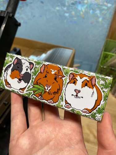 Stoner Guinea Pig Magnet Handmade 420 Gifts Accessories and Kitchen Home Decor - Picture 12 of 12