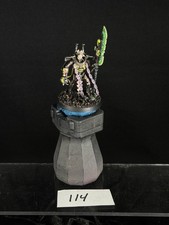 40k Necrons Overlord with Tachyon Arrow Pro Painted