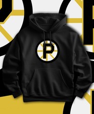 Providence Bruins AHL Adult Hoodie  Sizes S-3XL! Fast Ship!