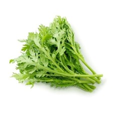 2000+ Chrysanthemum seeds | Tan Ngo | Cai Cuc |