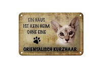 Blechschild Spruch 18X12 Cm Orientalisch Kurzhaar Katze Deko Schild