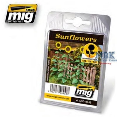 Ammo of MIG AMIG8458 Sunflowers - Sonnenblumen
