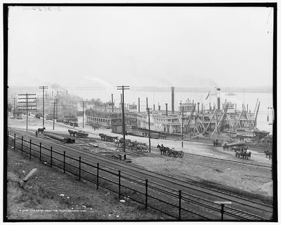 Levee,bluff,steamers,boats,ships,Memphis,Tennessee,Detroit Publishing Co,c1906