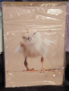 Sandpiper Chick 18 x 24 Canvas