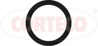 Dichtung Abgasrohr Corteco 027168H FüR VW Taro Toyota Corolla Liftback Carina 2