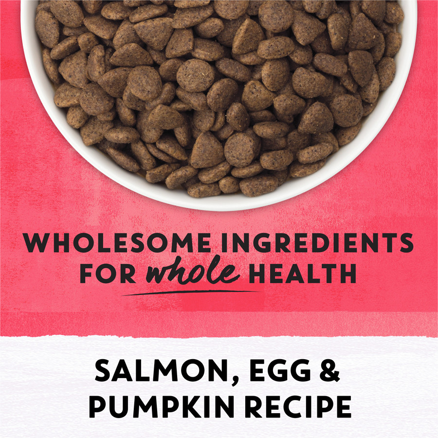 Purina Beyond Superfood Blend Wild Caught Salmon, Egg & Pumpkin Recipe, Dry Dog 