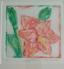 COLORFUL AMARYLLIS ETCHING, FRAMED, MATTED, SIGNED COLORADO ARTIST TILLI URBAN!