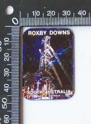 VINTAGE ROXBY DOWNS SOUTH AUSTRALIA TRAVEL SOUVENIR VINYL FRIDGE MAGNET
