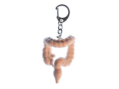 Digestive Key Ring Colon Keychain Miniblings Charm Key Ring Organ Bowels Anatomy | eBay