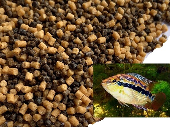 Catfish Shrimp Sticks Pet Supplies Pellets Tropical Bulk Bottom