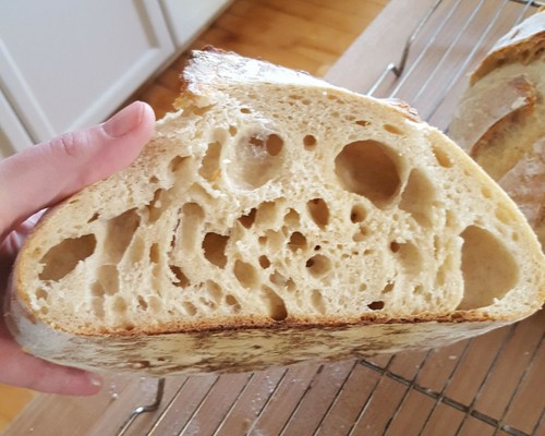 SAN FRANCISCO SOURDOUGH STARTER FRENCH BREAD YEAST SALLY - Picture 2 of 12