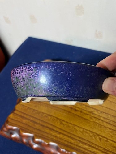 Japanese Bonsai pot HEKISHO Oval shape W17cm H4cm Ruri-blue Glazed - Picture 3 of 24