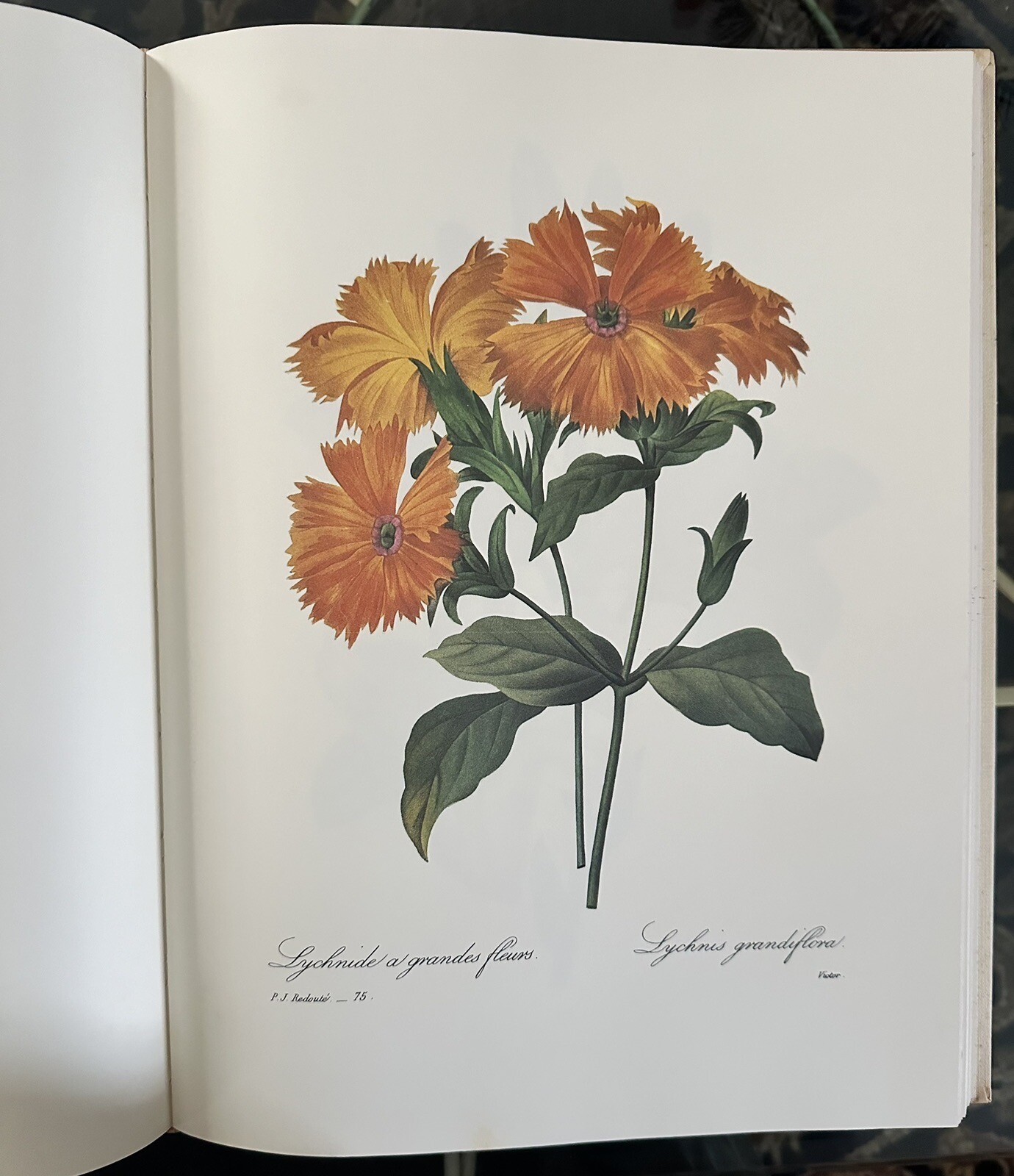 REDOUTE VINTAGE BOTANICAL PRINTS POTFOLIO “MOST BEAUTIFUL FLOWERS AND