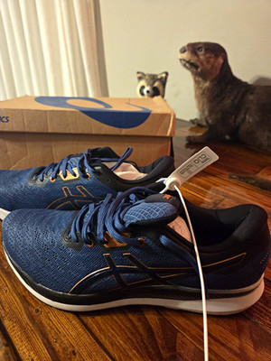 ASICS Men s Low Top Athletic Sneakers Blue/Black Mesh Lace-Up New With Box