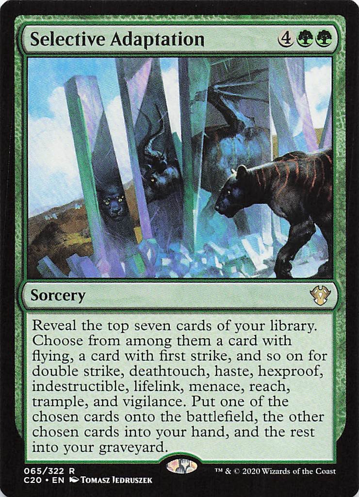 Selective Adaptation R Commander 2020 65 NM