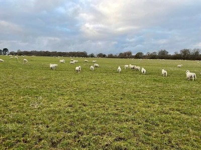 Photo A2 Temporary residents - St John's Field East Oakley  c2021
