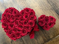 Million Dollar Roses