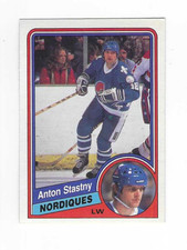 1984-85 O-PEE-CHEE ANTON STASTNY #291 QUEBEC NORDIQUES