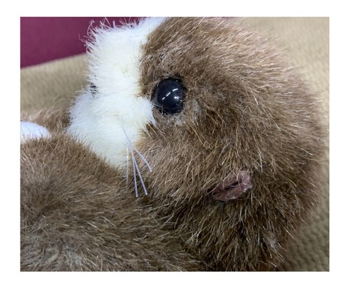 1992 VINTAGE K & M INTERNATIONAL BABY OTTER HOLDING SHELL PLUSH/STUFFED ANIMAL - Picture 2 of 8