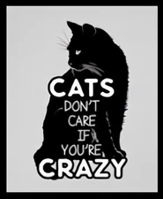 Cats Don't Care If You're CRAZY I Think They Prefer It! Pet Kitten Love MAGNET