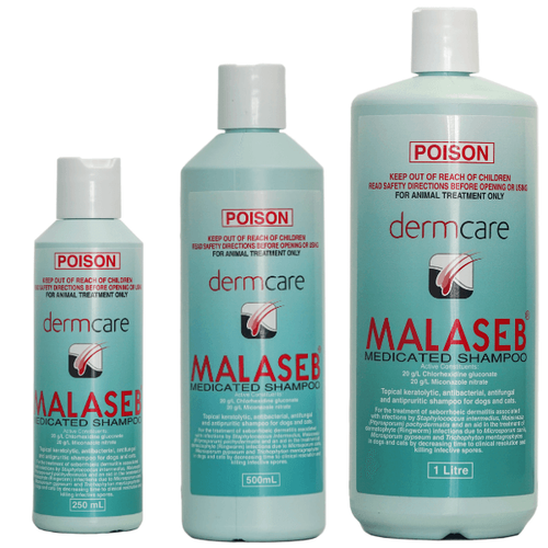 malaseb shampoo ebay