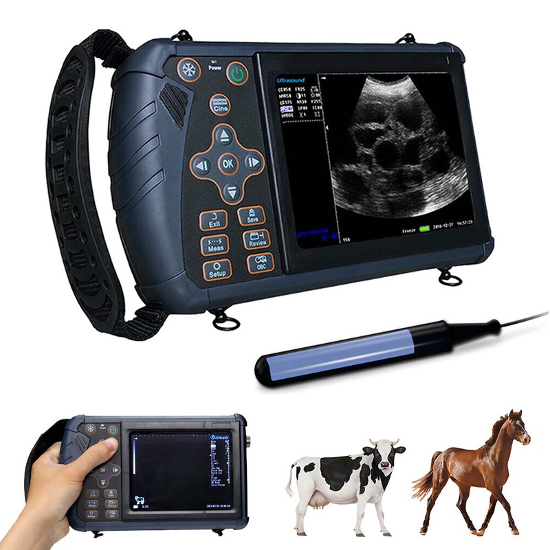 Portable Vet Ultrasound Machine Handheld Scanner 6.5MHZ Rectal Probe for Horse