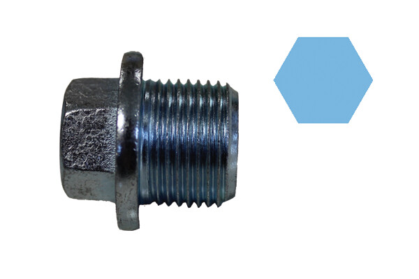 220078H CORTECO Sealing Plug, oil sump