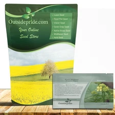 10000 Seeds Brassica Nigra Black Mustard Herb Seeds For Sprouting & Microgreens