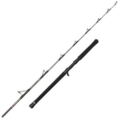 Penn Regiment IV Jig Cast Rod 20-30 bis 30-50 lbs Meeresrute Bootsrute Jigging N