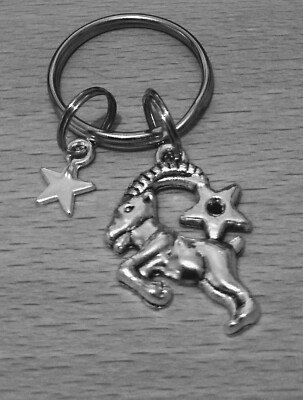Super Schlüsselanhänger ''Steinbock Sternzeichen'' Bagcharm süß wunderbar nützliches Geschenk   ️  