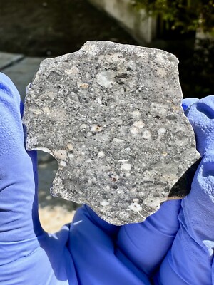 meteorite: TIFARITI 002 Weight 7.091 Grams  Beautiful Lunar Full Slice