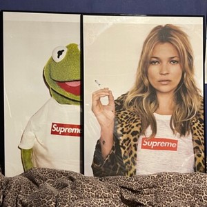 Kermit Supreme | eBay UK