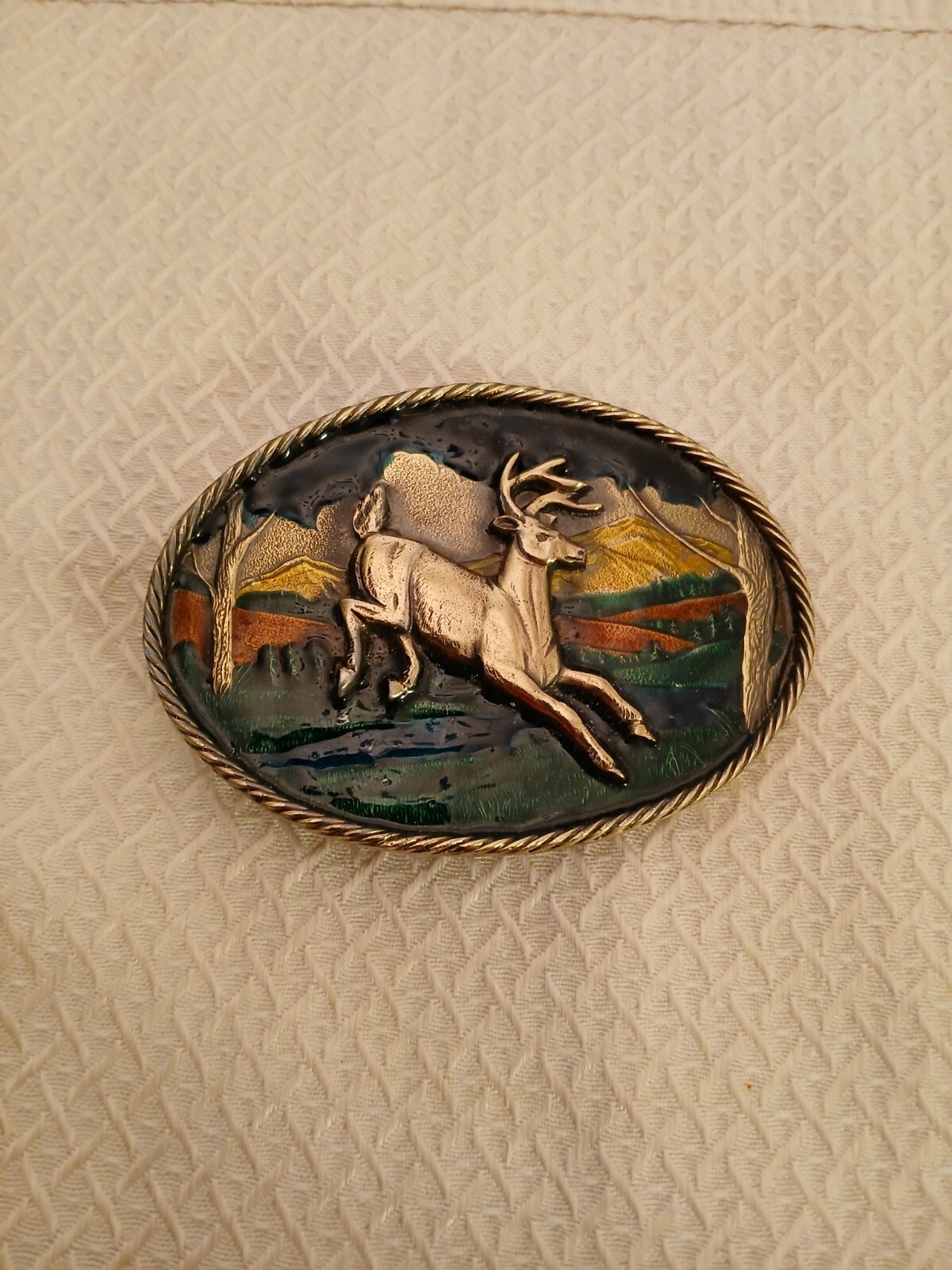 Picture 2 of 12