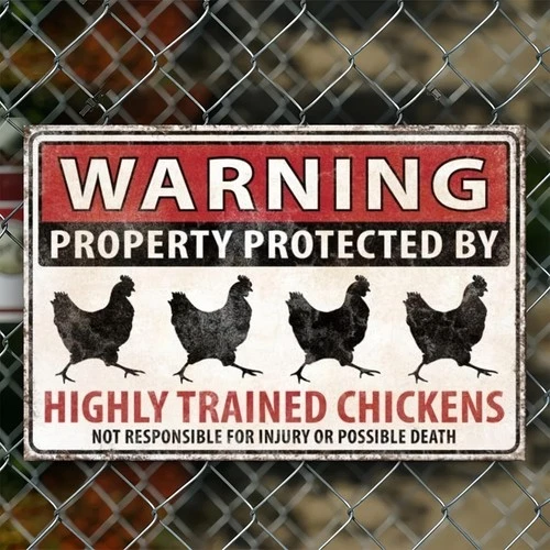 Vintage Humorous Protected By Chickens Metal Tin Sign Farm Yard Decor Funny Gift