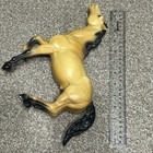 Bild 11 von 12