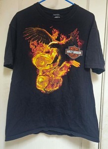 Flame Harley Davidson | eBay