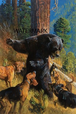 Bob Kuhn -  Black Bear and Hounds - Big Game Hunting - 13x19 Print REPRODUCTION