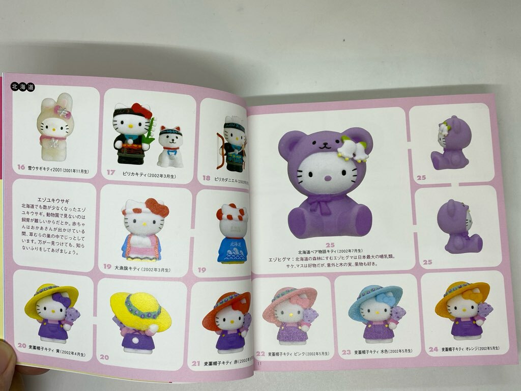 Kodansha Gotochi Kitty Regional Hello Kitty Complete Catalog For Sale Online Ebay