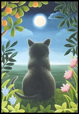 Greeting Card - Cat Kitten - Elizabeth Brownd - Any Occasion 0925