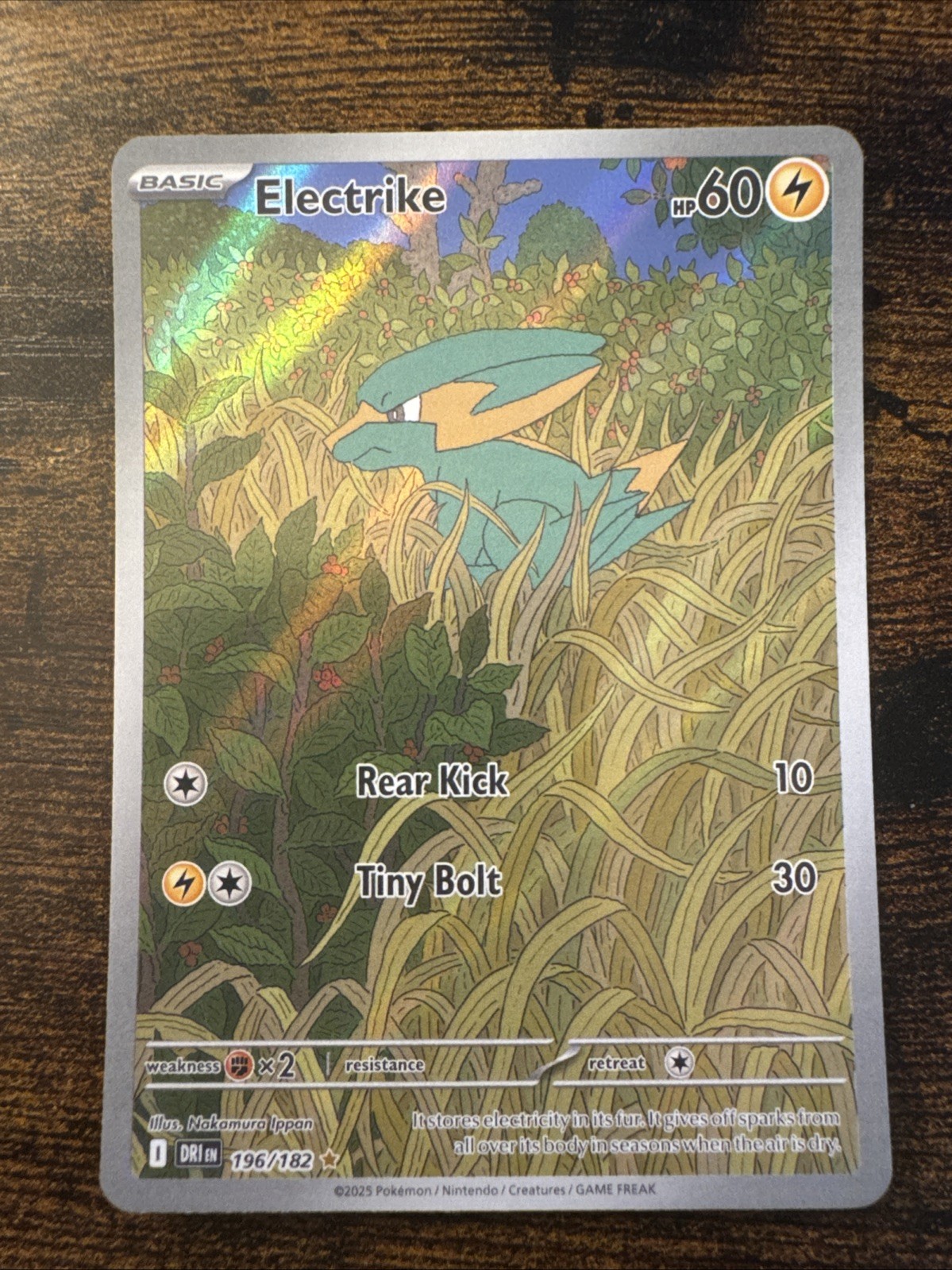Electrike Holo Illustration Rare SV10: Destined Rivals 196/182 NM