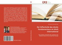 De L'effectivité Des Droits Fondamentaux En Droit International Dominique Kamwan