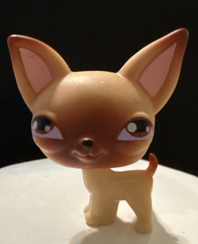 CHIHUAHUA DOG #1 - Authentic Littlest Pet Shop - Hasbro LPS | eBay