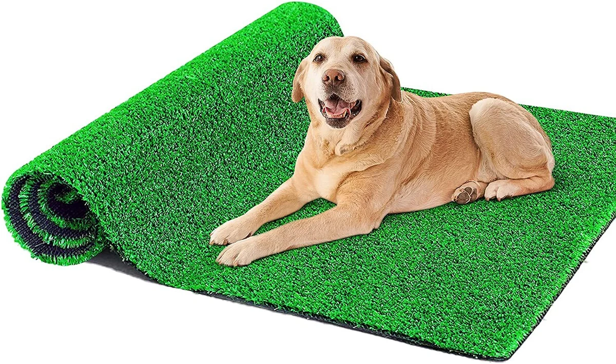 Grass pee pad canada top