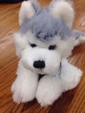 Rare. Retired  Webkinz Husky Used Code Husky Hm120