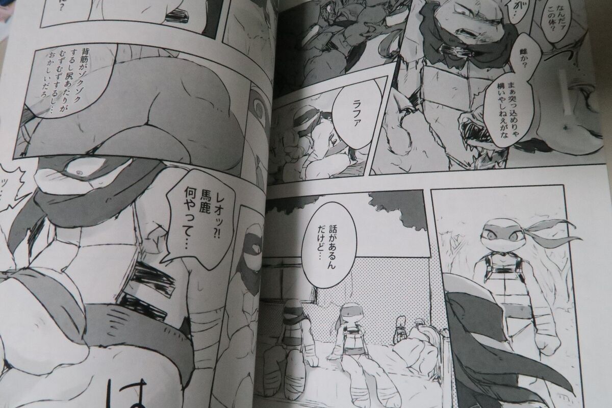Teenage Mutant Ninja Turtles doujinshi LxR (A5 54pages Teenage Mutant Ninja Turtles doujinshi LxR (A5 54pages