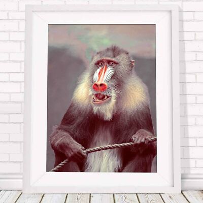 501261 AFRICA SEPIA -Mandrill Monkey   * 16x12 WALL PRINT POSTER