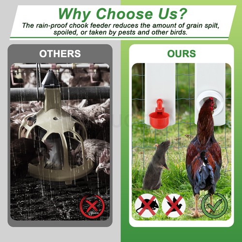 Chicken Bird Feeder Water Dispenser Automatic Waterer Poultry Food Drinker 4L - Picture 3 of 12