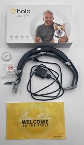 Halo 1 mit Cesar Millan GPS Hundehalsband Graphite Medium
