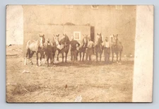 RPPC Four Men & Six Horses Huge Barn Farmers Ranchers Real Photo Postcard